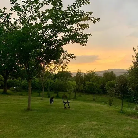 Villa Basoangym *